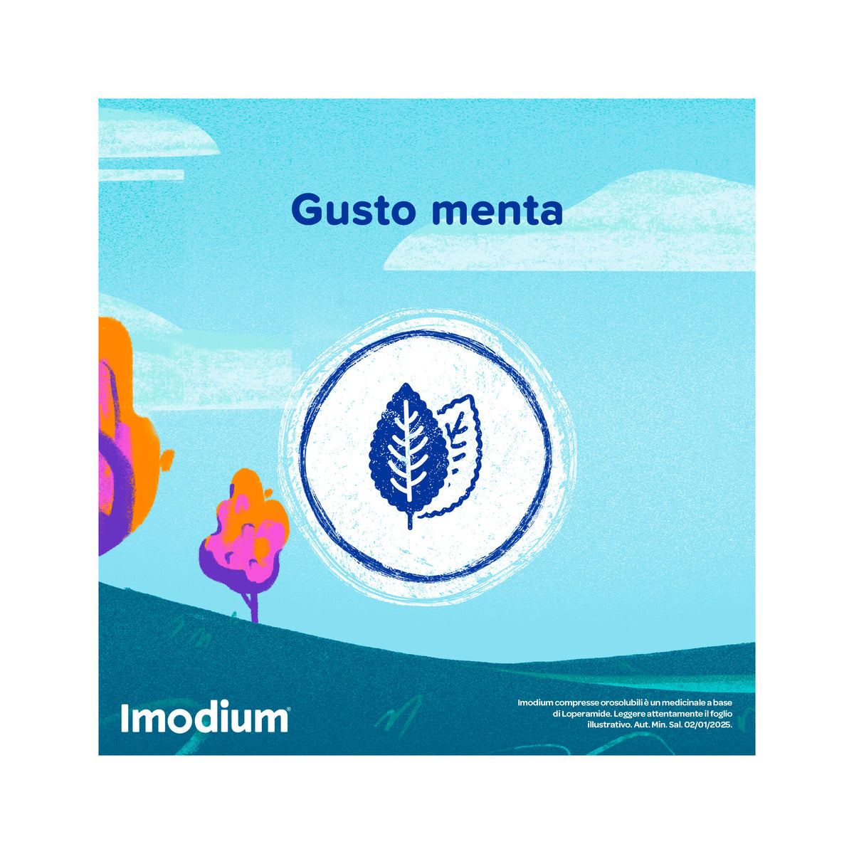 Imodium Diarrea Acuta 12 Compresse Orosolubili-6