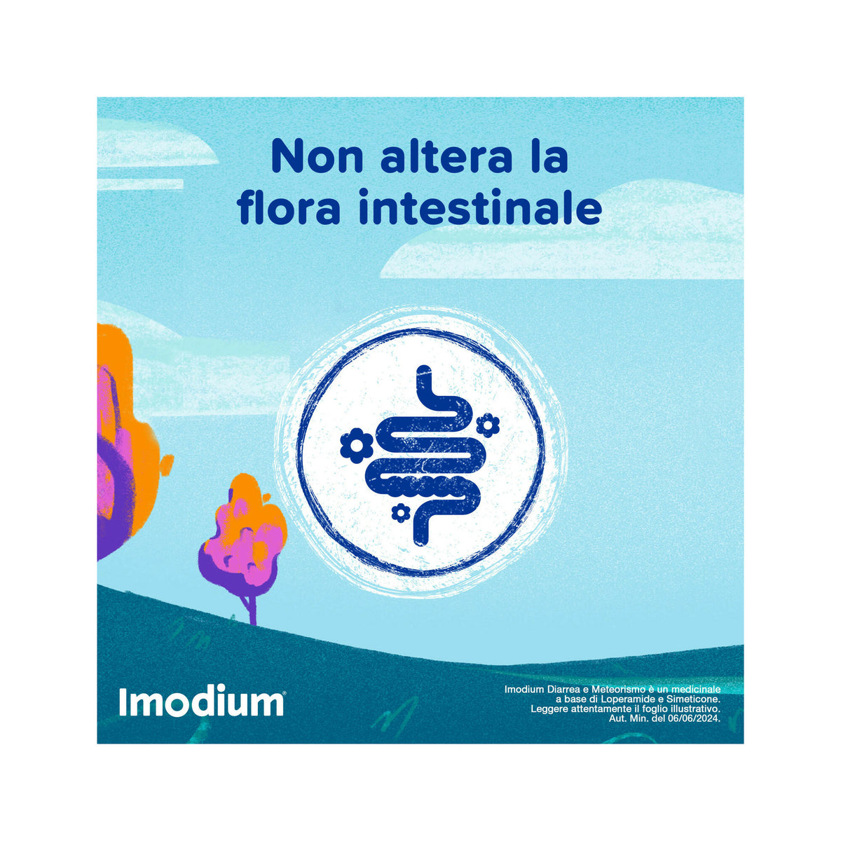 Imodium Diarrea e Meteorismo 12 Compresse-5