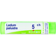 Boiron Ledum Palustre Granuli 05Ch Tubo 4g-1