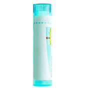 Boiron Ledum Palustre 30CH Medicinale Omeopatico Granuli 4g-1