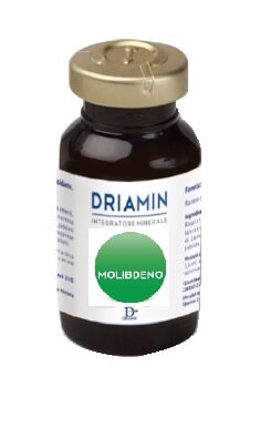 DRIAMIN MOLIBDENO 10FL 15ML-2