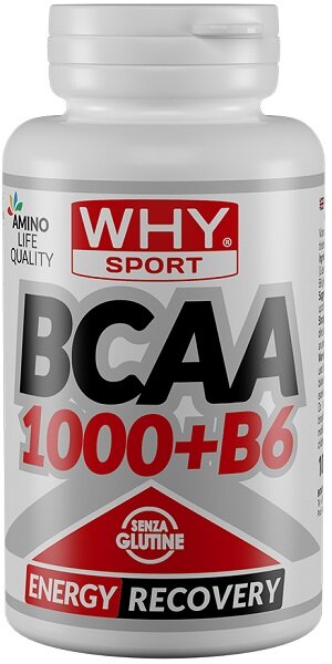 WHYSPORT BCAA 1000+B6 200CPR-1