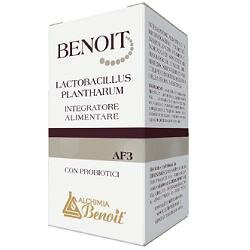 Lactobacillus Plantharum con probiotici AF3-2