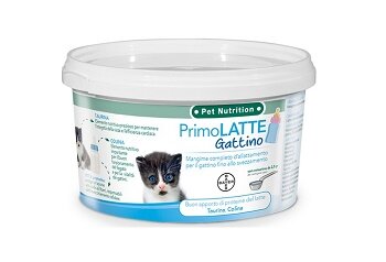 Primolatte gattino-2