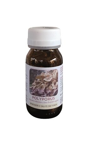 DR POCK POLYPORUS 50CPS-2