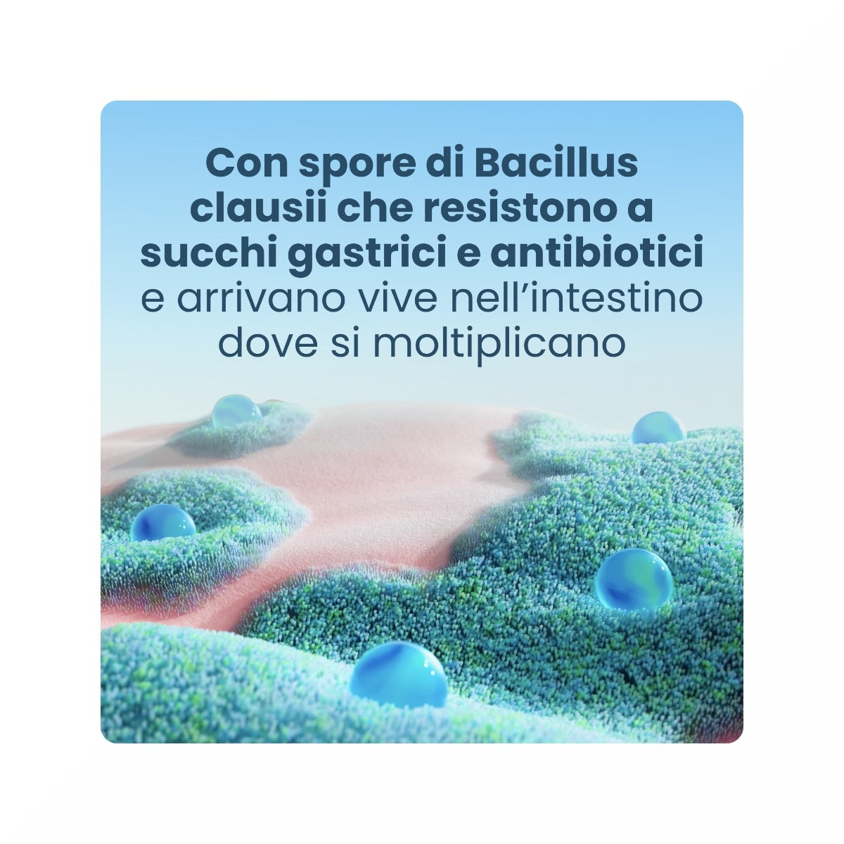 Enterogermina 2 Miliardi Fermenti Lattici Probiotici per Disturbi Intestinali 10 Fiale-21
