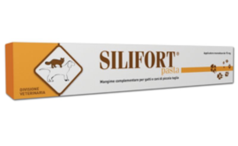 Silifort pasta 30g-1
