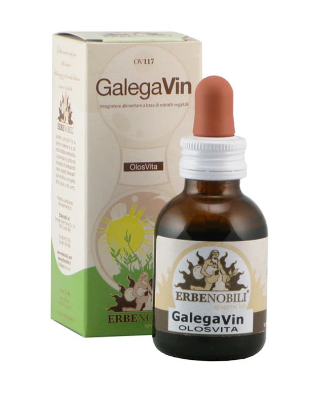 Erbe Nobili Galegavin OV117-1