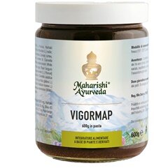 Vigormap respirazione 600g in pasta-2