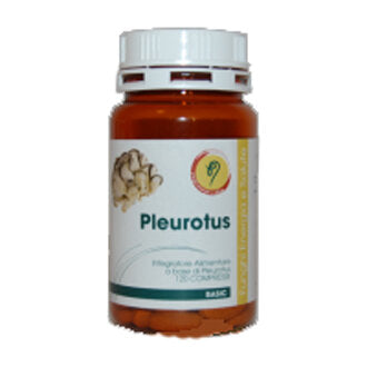 PLEUROTUS LINEA BASIC 120CPR-2