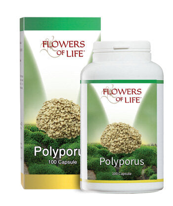 POLYPORUS 100CPS-1