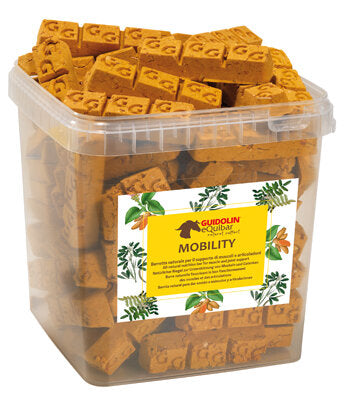 Equibar Mobility 2,5kg-2