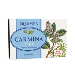CARMINA PLUS 24CPR 19,2G-1