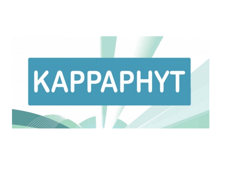 Kappaphyt 4 azione tonico-adattogena 20 bustine-1