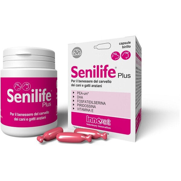 Senilife Plus per il benessere del cervello di cani e gatti anziani 30 capsule birillo-2
