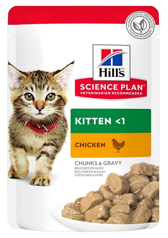Hill's Science Plan Umido Kitten Pollo Bustina 85g-2