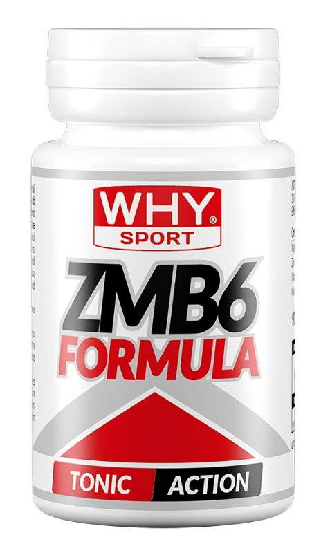 WHYSPORT ZMB6 FORMULA 90CPR-1