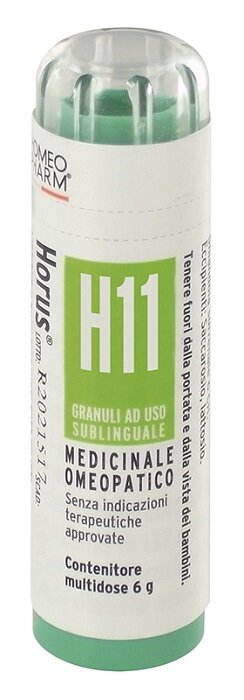 HORUS H11 GR-1