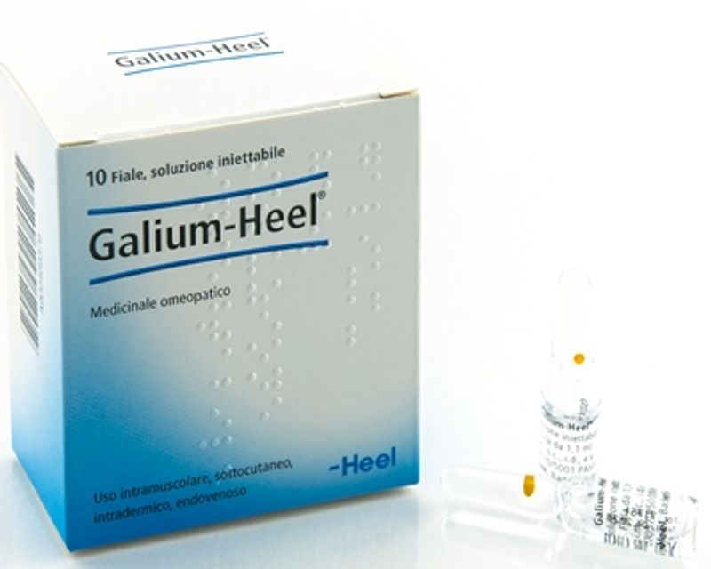 Guna Galium-Heel medicinale omeopatico 10 fiale-1