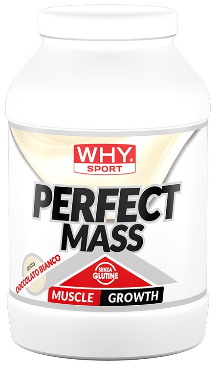 WHYSPORT PERFECT MASS CIOC BI-1