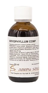 BRYOPHYLLUM COMP SOL IAL 50ML-1