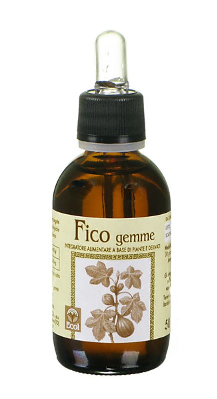 Ecol Fico Gemme integratore per lo stomaco 50 ml-1