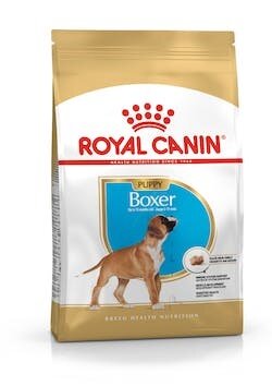 BREED HN BOXER PUPPY 3KG-1