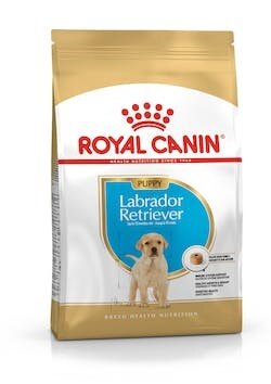 BREED HN LABRADOR PUPPY 3KG-1