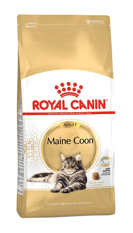 FELINE BN MAINE COON AD 31 2KG-1