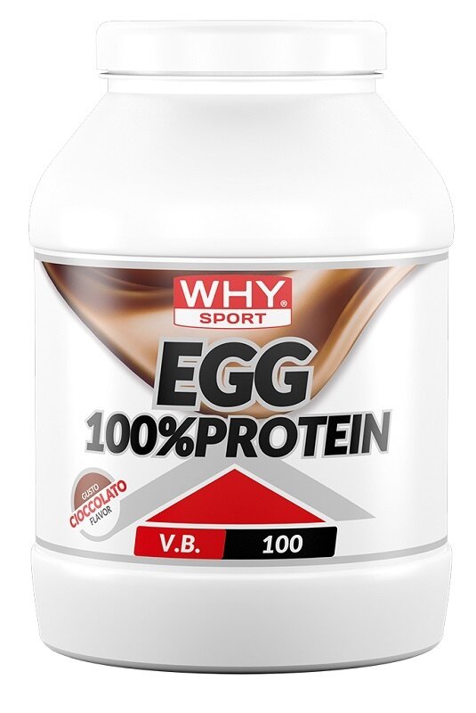 Whysport Egg 100% Protein Cioccolato 750g-1