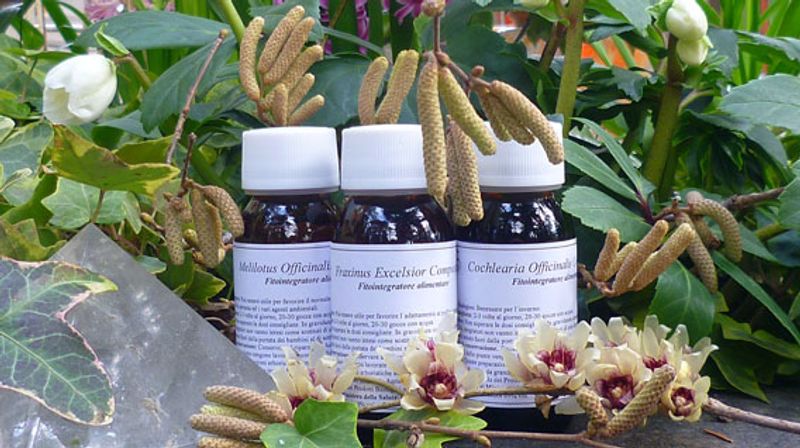 LVS 42S Fucus Vesiculosus Compositum 60ml-1
