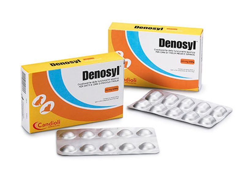 Candioli Denosyl 225mg 10 compresse-1