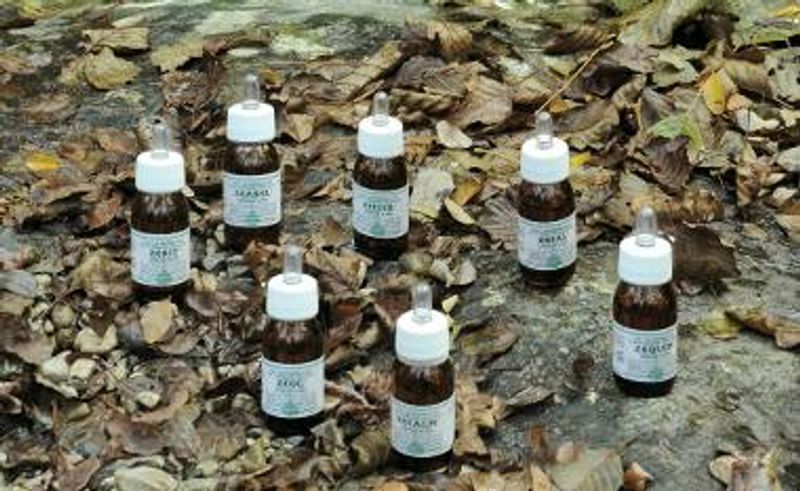 KA11 Oleolito da Massaggio Alchemica Valgelata 30 ml-1