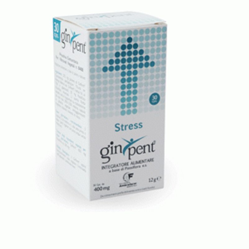 Ginpent Stress 120 capsule-1
