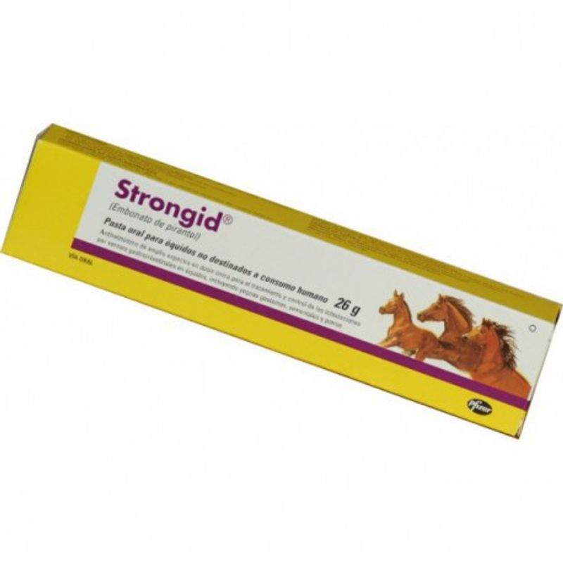 Strongid Pasta Orale 1 siringa-1