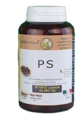 PS 90MAXI CPS-1