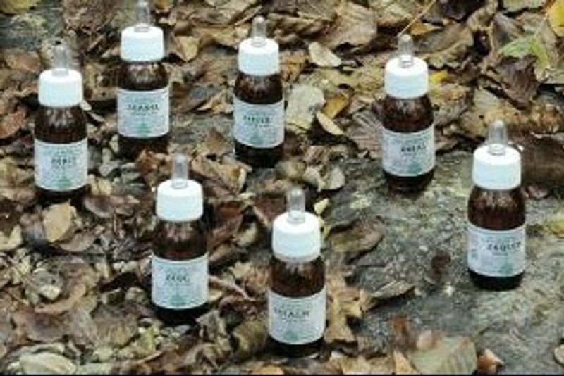 Alchemica MO18 Rosmarino Oleolito da Massaggio 30ml-1