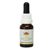 Red Grevillea Australian gocce 15ml-1