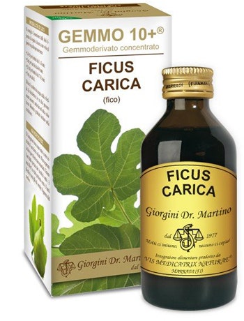 FICO 100ML LIQ ANALCO GEMMO10+-1