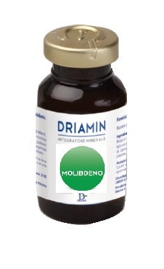 DRIAMIN MOLIBDENO 10FL 15ML-1