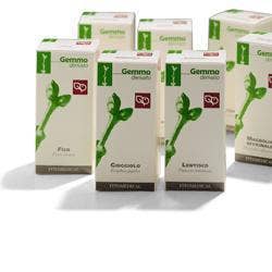 ALBERO GIUDA 50ML MG-1