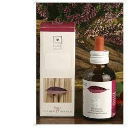 CASTANEA VESCA MG 50ML STV-1