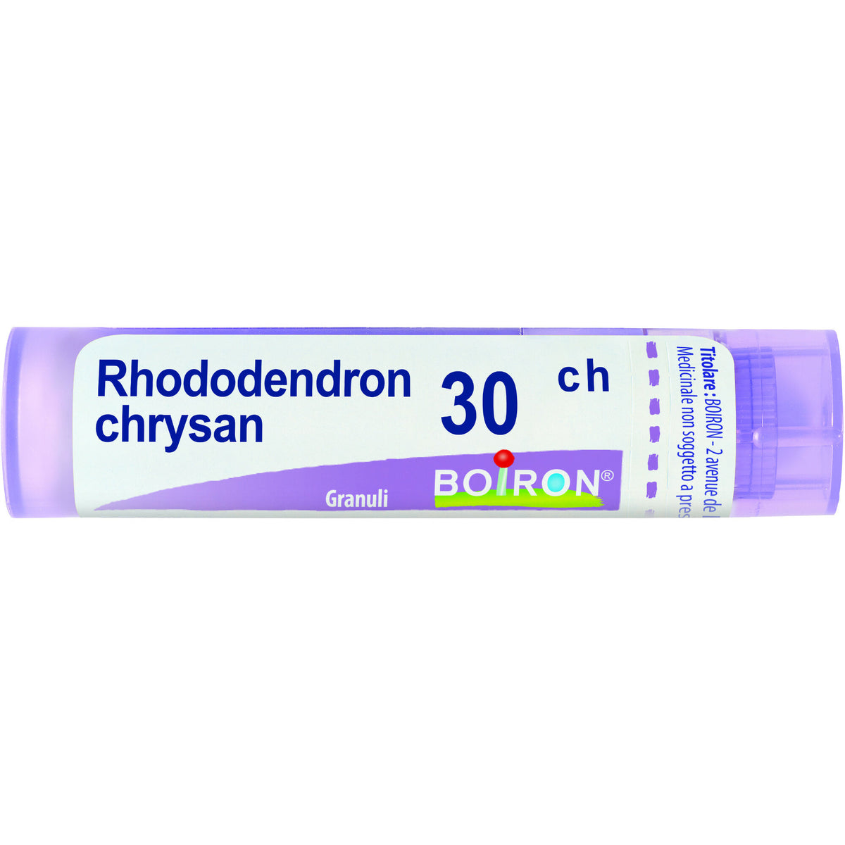 Boiron Rhododendron Chrysan Granuli 30Ch Tubo 4g-2
