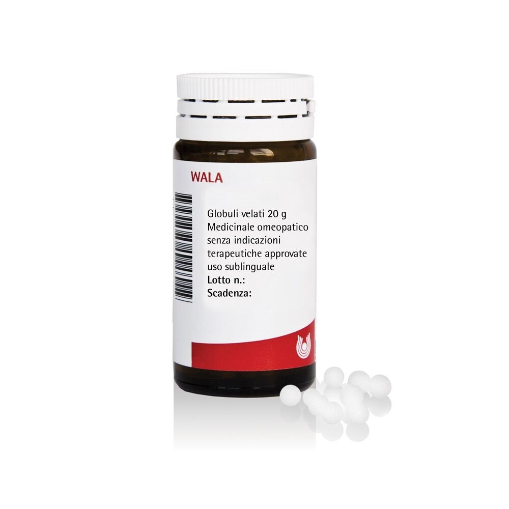 Wala Hirudo Compositum Medicinale Omeopatico 20g-1