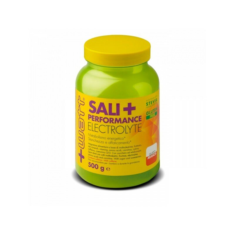 Sali+ Perfomance Electrolyte Gusto Limone 500g-1