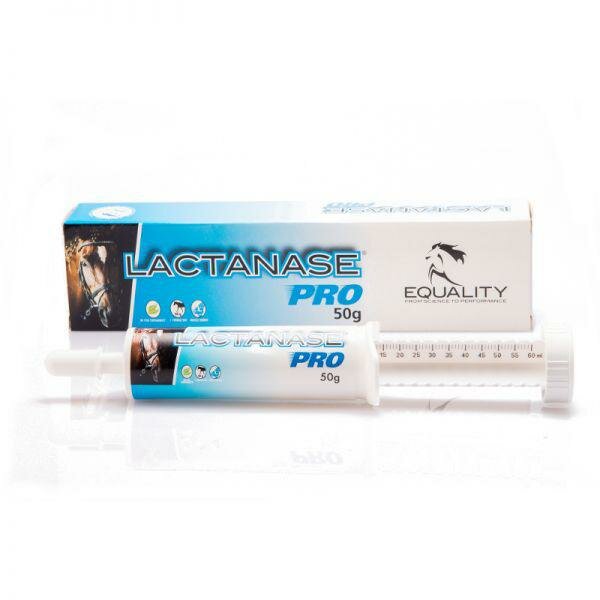 Lactanase Pro Pasta Orale Per Equini Sportivi Siringa 50g-2