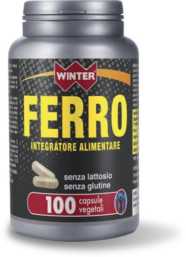 WINTER FERRO 100CPS-1