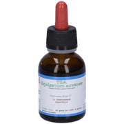 TSA EQUISETUM ARVENSE 50ML
