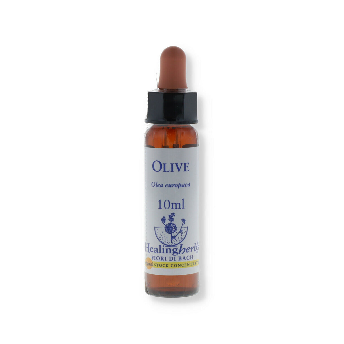 OLIVE ESSENZA 10ML-1