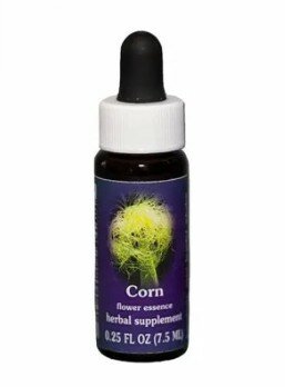 CORN ESS 7,4ML CALF-1